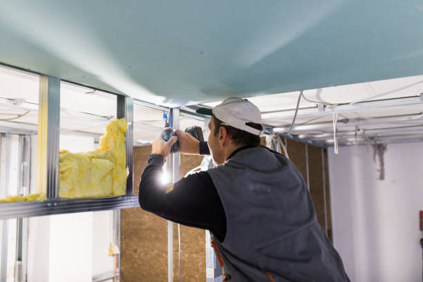 Best Eco-Friendly Insulation in Evadale, TX